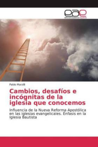 Knjiga Cambios, desafíos e incógnitas de la iglesia que conocemos Pablo Marzilli