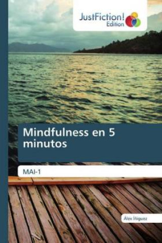 Buch Mindfulness en 5 minutos Álex Í?iguez