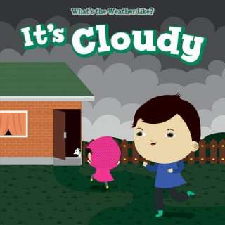 Knjiga It's Cloudy Celeste Bishop