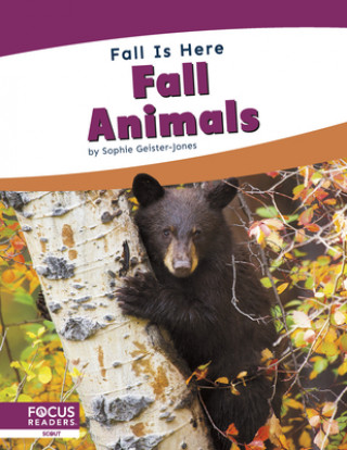 Könyv Fall is Here: Fall Animals 