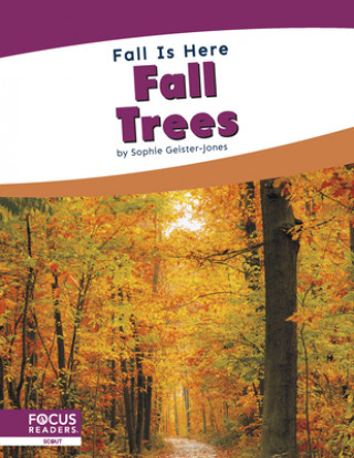 Knjiga Fall is Here: Fall Trees Sophie Geister-Jones