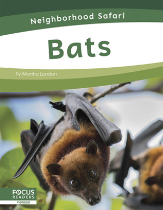 Knjiga Neighborhood Safari: Bats Martha London