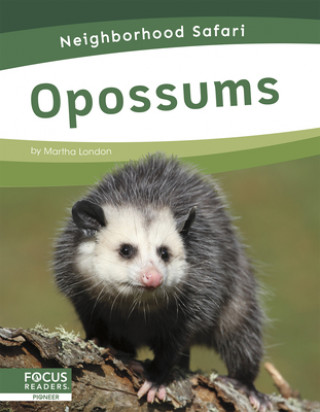 Książka Neighborhood Safari: Opossums Martha London