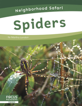 Knjiga Neighborhood Safari: Spiders Martha London