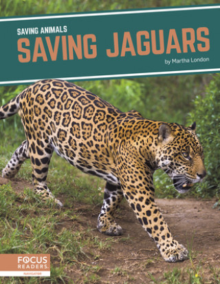 Kniha Saving Animals: Saving Jaguars 
