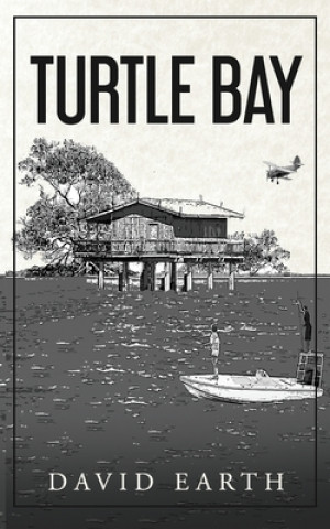 Boek Turtle Bay David Earth