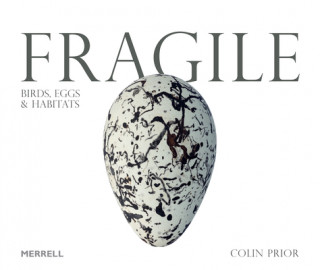 Kniha Fragile: Birds, Eggs & Habitats Des Thompson