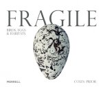 Carte Fragile: Birds, Eggs & Habitats Des Thompson