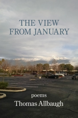 Buch The View from January Thomas Allbaugh