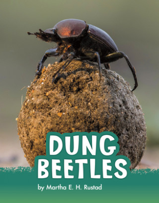 Book Dung Beetles 