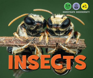Knjiga Insects Heather Moore Niver