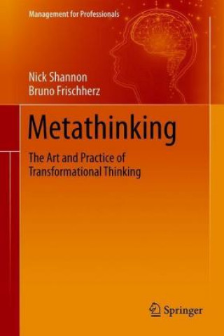 Livro Metathinking Nick Shannon