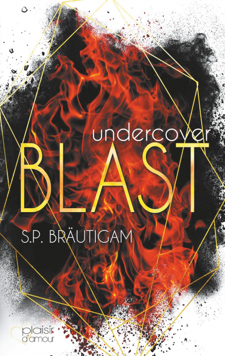 Knjiga Undercover: Blast 