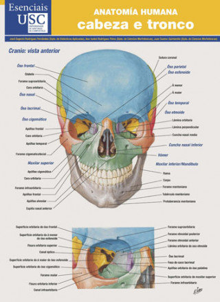 Kniha Anatomía humana 