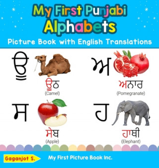 Buch My First Punjabi Alphabets Picture Book with English Translations 