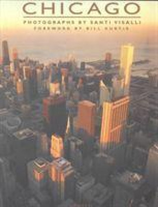 Buch Chicago Santi Visalli