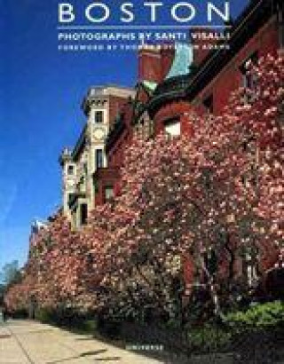 Kniha Great Cities: Boston Santi Visalli