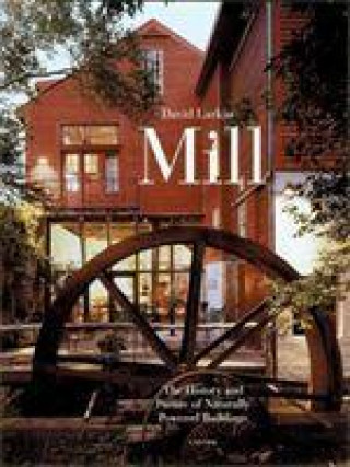 Libro Mill David Larkin