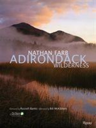Book Adirondack Nathan Farb