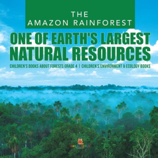 Carte Amazon Rainforest 