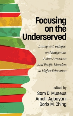 Buch Focusing on the Underserved Doris M. Ching
