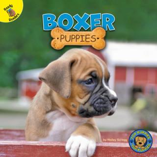 Könyv Boxer Puppies Hailey Scragg
