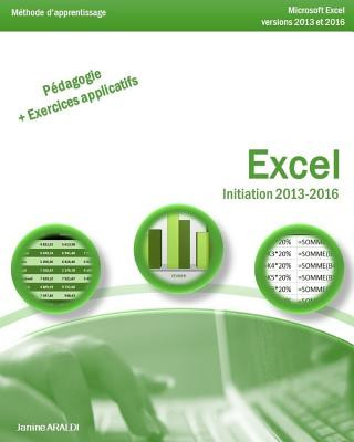 Kniha Excel Initiation 2013 - 2016 Janine Araldi