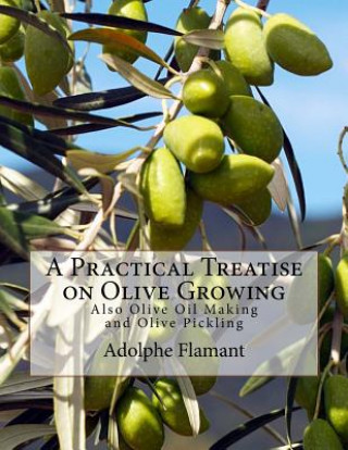 Kniha A Practical Treatise on Olive Growing: Also Olive Oil Making and Olive Pickling Adolphe Flamant