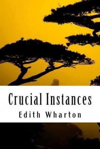 Knjiga Crucial Instances Edith Wharton