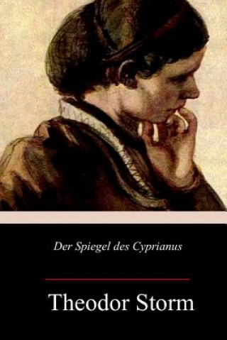 Kniha Der Spiegel des Cyprianus Theodor Storm