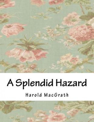 Buch A Splendid Hazard Harold MacGrath
