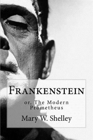 Könyv Frankenstein: Or the Modern Prometheus Mary W Shelley