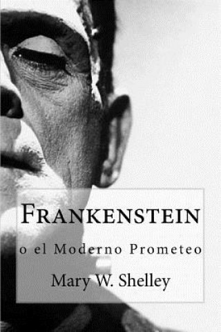 Könyv Frankenstein: o el moderno Prometeo Mary W Shelley