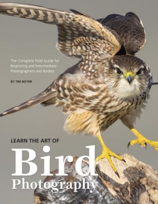 Kniha Learn the Art of Bird Photography: The Complete Field Guide for Beginning and Intermediate Photographers and Birders Tim Boyer