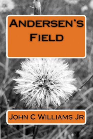 Knjiga Andersen's Field John C Williams Jr