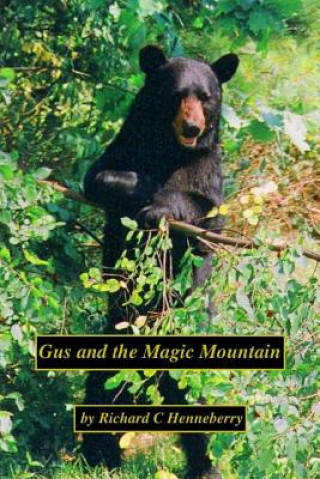 Boek Gus and the Magic Mountain: A Whimsical Tale from the Berkshires Richard C Henneberry