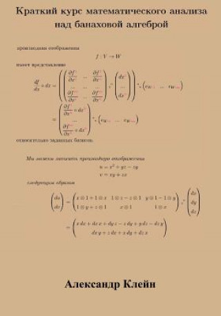 Kniha Crash Course in Calculus Over Banach Algebra (Russian Edition) Aleks Kleyn