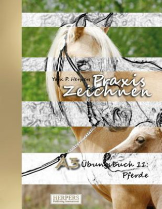 Kniha Praxis Zeichnen - A3 Übungsbuch 11: Pferde York P Herpers