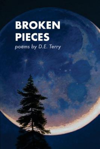 Knjiga Broken Pieces Doug Terry