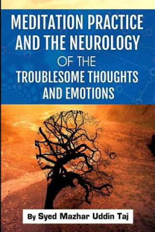Kniha Meditation Practice and the Neurology of the Troublesome Thoughts and Emotions Syed Mazhar Uddin Taj