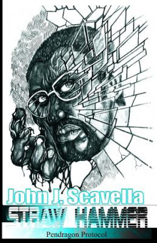 Book Straw Hammer John J Scavella