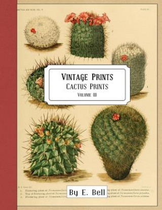 Carte Vintage Prints: Cactus Prints E Bell