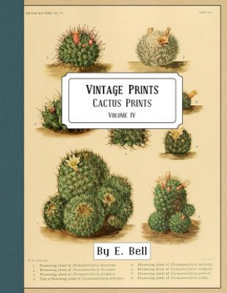 Kniha Vintage Prints: Cactus Prints E Bell