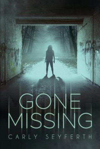 Knjiga Gone Missing Carly E Seyferth