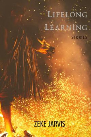 Buch Lifelong Learning: Stories Zeke Jarvis