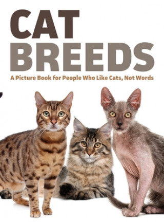Kniha Cat Breeds 