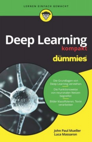 Kniha Deep Learning kompakt fur Dummies John Paul Mueller