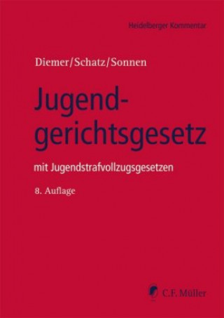 Carte Jugendgerichtsgesetz Holger Schatz