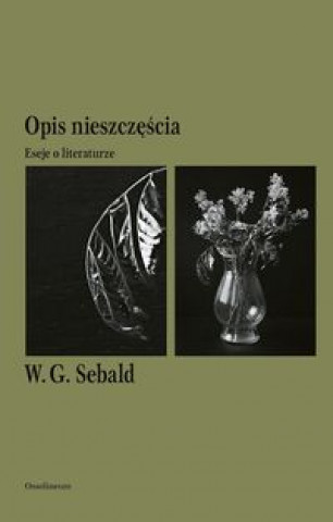 Book Opis nieszczęścia Sebald W.G.