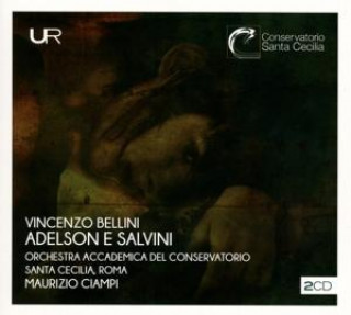 Audio Adelson e Salvini 